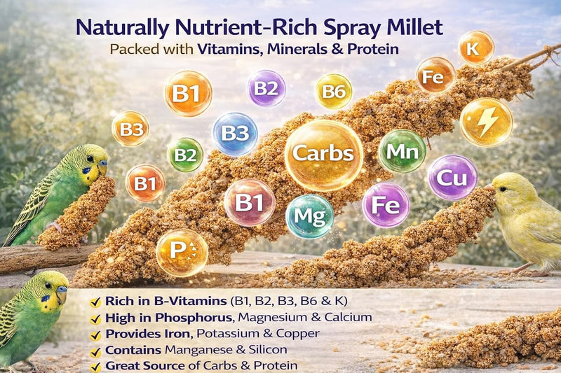 Farm to Feathers Economy & Thin Spray Millet with Cuttlebone Bundle - USA Grown Millet Sprays for All Birds, Cockatiels, Lovebirds, Parakeets, Finches - 7 Ounce (4-Pack) + 4" Cuttlebone (4-Pack)