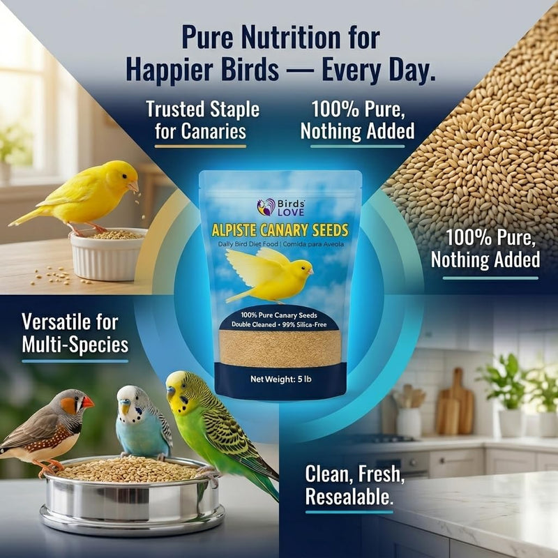 Birds LOVE Pure Alpiste Canary Seed Double Cleaned 5lb