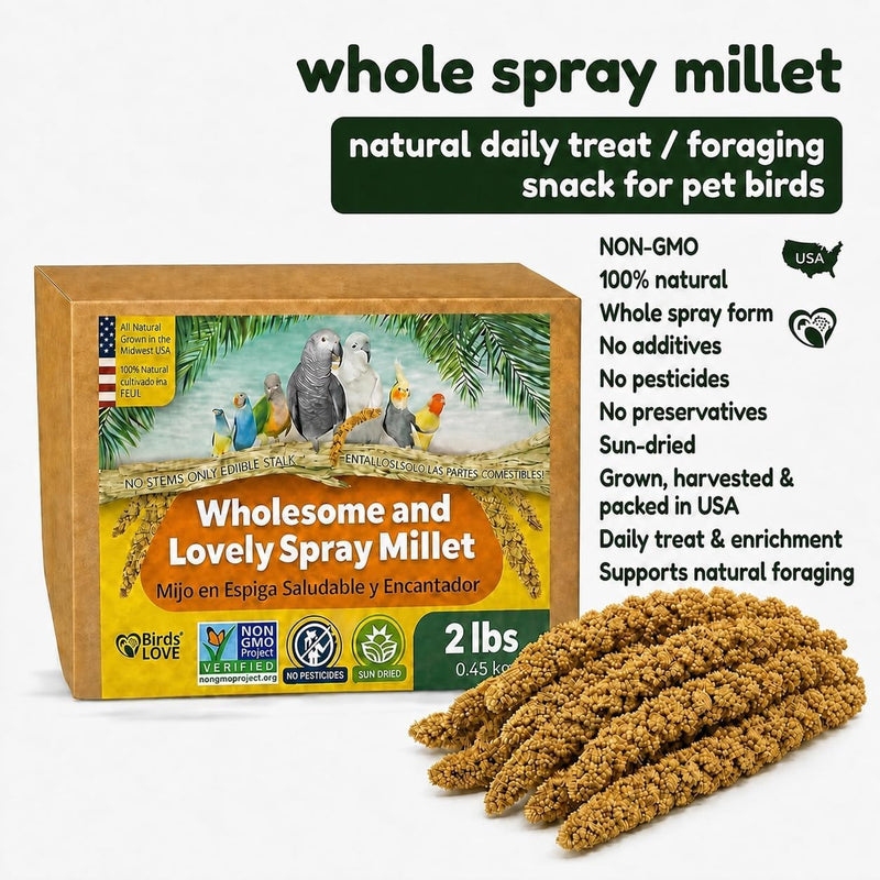 Birds LOVE 2 LB Wholesome Spray Millet for Birds - USA Grown, Non-GMO, Natural Sun-Dried Millet Sprays - Thick Seed-Rich Clusters for Parakeets, Budgies, Cockatiels, Conures, Finches & Parrots