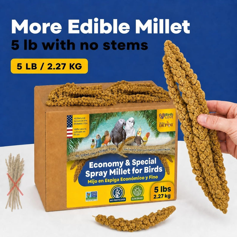 5lbs Economy & Special Spray Millet for Birds - GMO-Free, No Stems (Only Edible Tops) - 100% Natural Sun-Dried Foraging Treat for Cockatiels, Lovebirds, Parakeets, Finches & Canaries