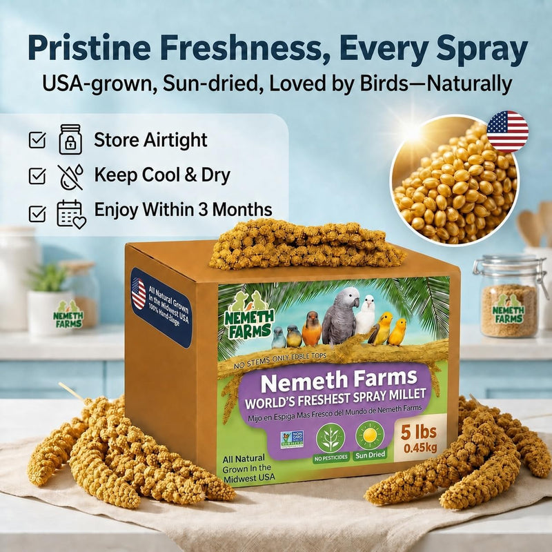 Nemeth Farms Spray Millet - Edible Tops Only, Non-GMO and Sun-Dried - 5 lbs for Parakeets, Conures and Cockatiels