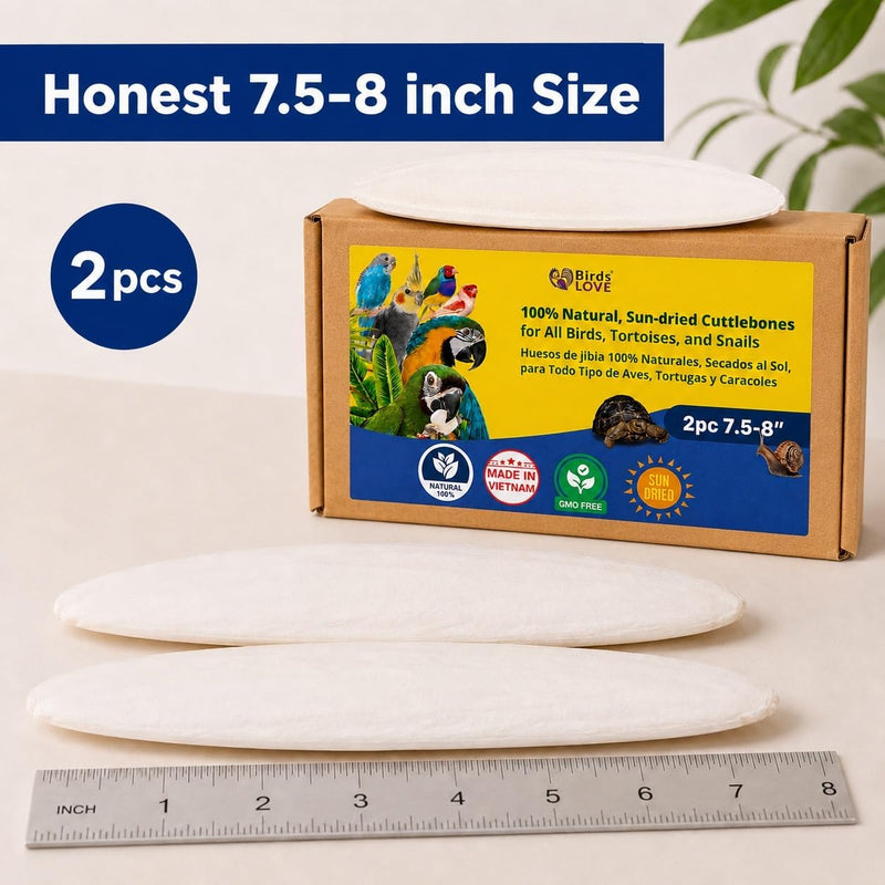 Birds LOVE Natural Cuttlebone - 2 Pack, 7.5-8"