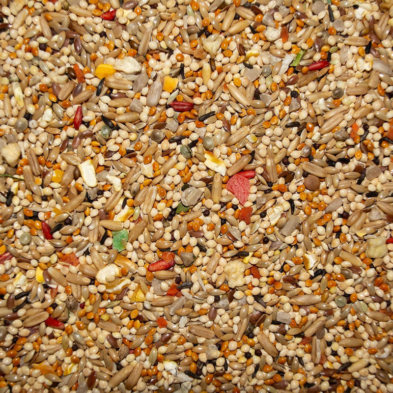 Volkman Avian Science Super Parakeet Bird Food 4lb