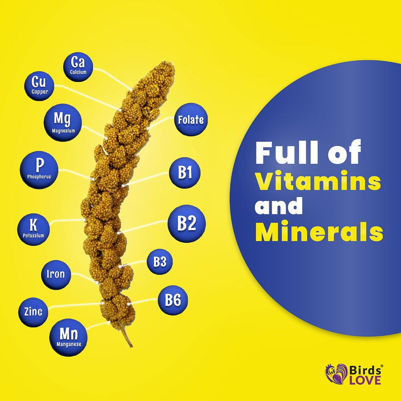 25lbs Economy & Special Spray Millet for Birds - GMO-Free, No Stems (Only Edible Tops) - 100% Natural Sun-Dried Foraging Treat for Cockatiels, Lovebirds, Parakeets, Finches & Canaries