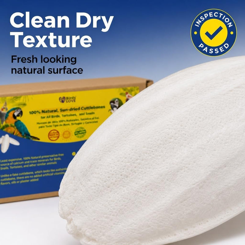 Birds LOVE Natural Cuttlebone - 2 Pack, 3.5-4"