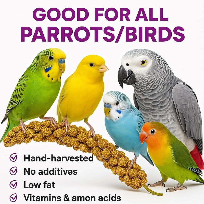 Birds LOVE 25lbs French Kissed Spray Millet for Birds - Non-GMO, Harvested & Packed in the USA - Natural Sun-Dried Millet with Stems for Parakeets, Cockatiels, Conures, Parrots & Budgies