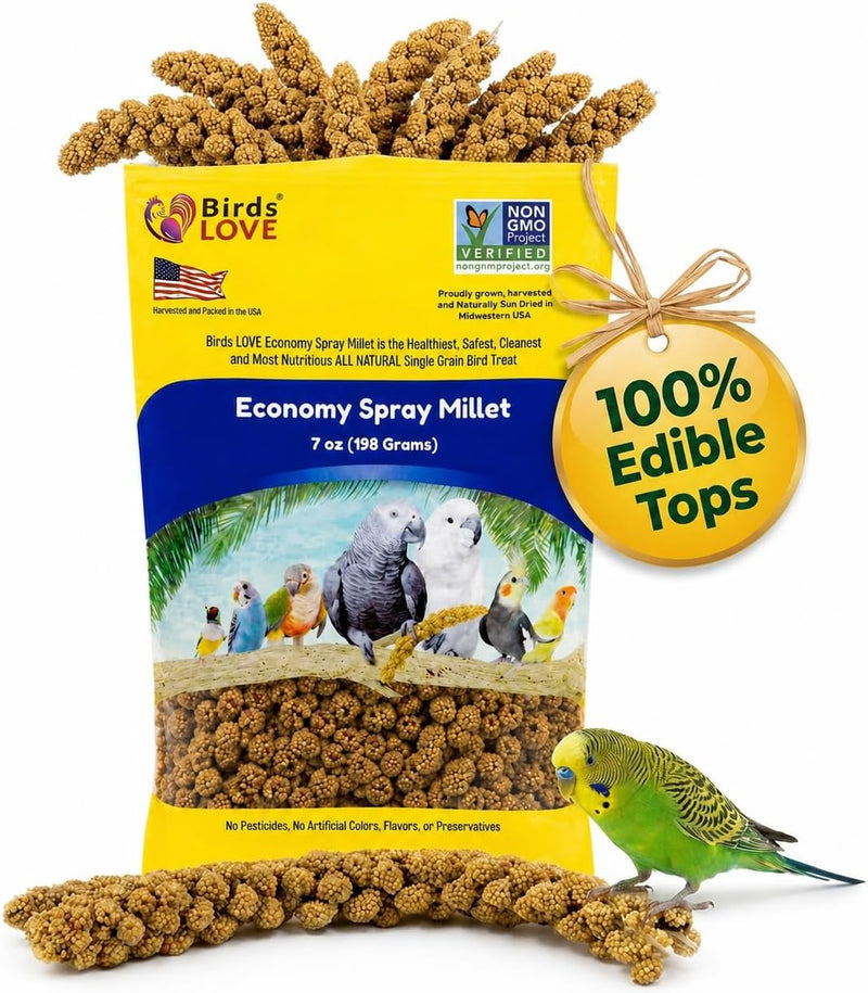 Birds LOVE Economy Spray Millet for Birds, 7 oz, GMO-Free Natural Millet Spray Treat, Stem-Reduced Edible Tops, Grown in USA, for Parakeets, Cockatiels, Lovebirds, Finches, Canaries & Small Parrots
