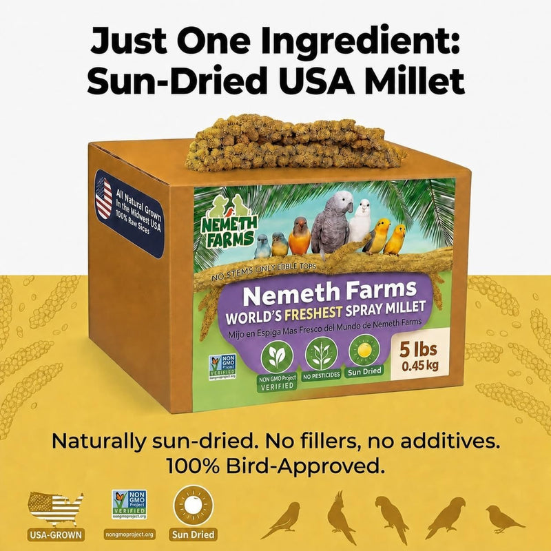 Nemeth Farms Spray Millet - Edible Tops Only, Non-GMO and Sun-Dried - 5 lbs for Parakeets, Conures and Cockatiels