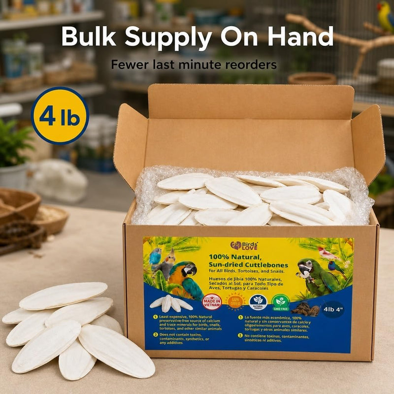Birds LOVE Natural Cuttlebone - 4 lb bulk, 3.5-4"