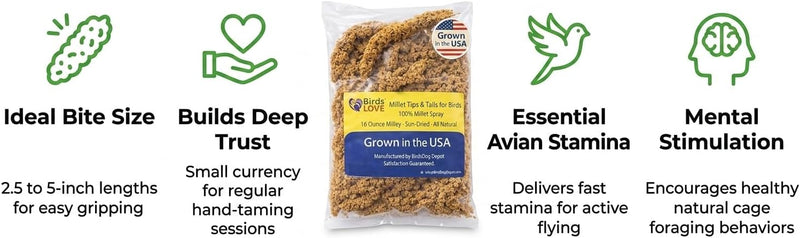 Birds LOVE Millet Tips & Tails for Birds - Spray Millet Treat, Non-GMO, USA Grown - Natural Bird Food for Parakeets, Cockatiels, Budgies, Lovebirds, Finches, Canaries & Parrots - 1 lb, 2 Pack