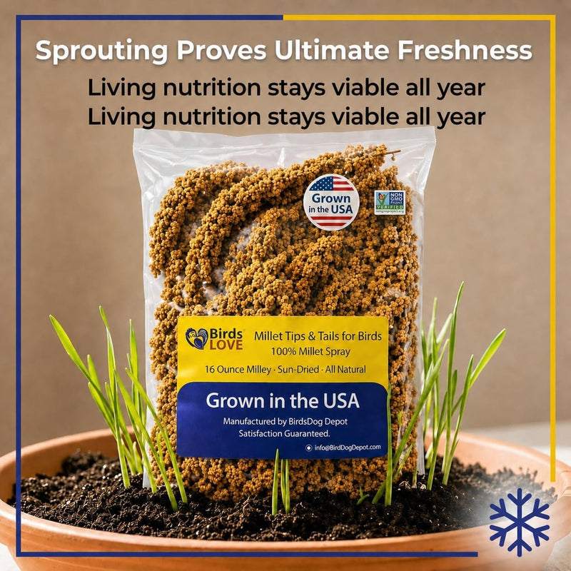 Birds LOVE Millet Tips & Tails for Birds - Premium Spray Millet Treat, Non-GMO, USA Grown - Natural Bird Food for Parakeets, Cockatiels, Budgies, Lovebirds, Finches, Canaries & Parrots - 1 lb