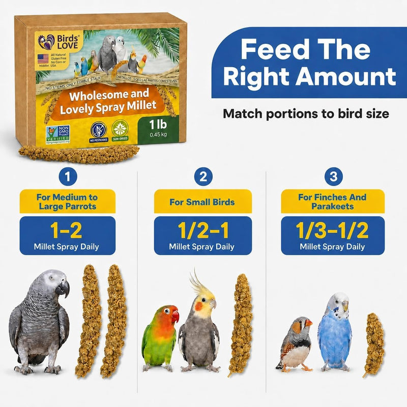 Birds LOVE 1 LB Wholesome Spray Millet for Birds - USA Grown, Non-GMO, Natural Sun-Dried Millet Sprays - Thick Seed-Rich Clusters for Parakeets, Budgies, Cockatiels, Conures, Finches & Parrots