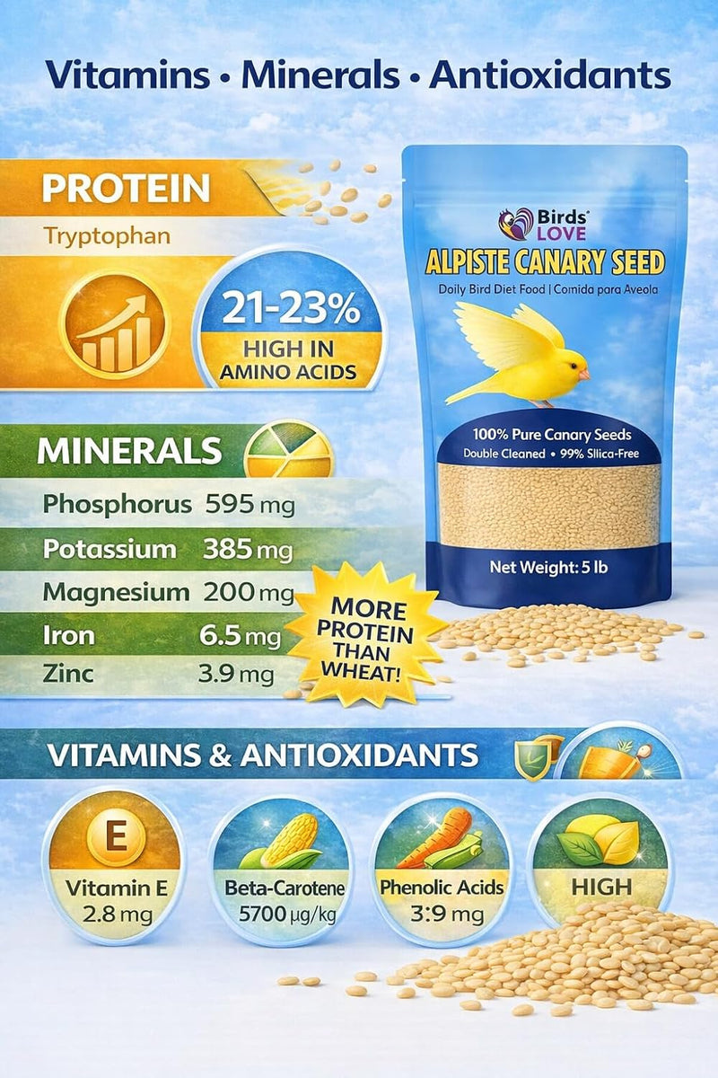 Birds LOVE Pure Alpiste Canary Seed Double Cleaned 5lb