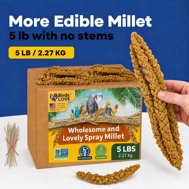 Birds LOVE 5 LB Wholesome Spray Millet for Birds - USA Grown, Non-GMO, Natural Sun-Dried Millet Sprays - Thick Seed-Rich Clusters for Parakeets, Budgies, Cockatiels, Conures, Finches & Parrots