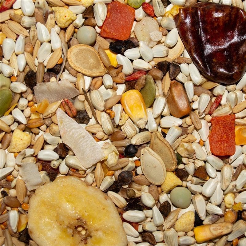 Volkman Avian Science Hookbill Bird Food 4lb