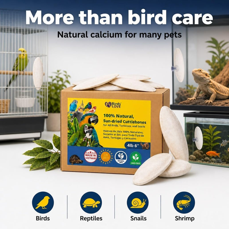 Birds LOVE Natural Cuttlebone - 4 lb bulk, 5.5-6"