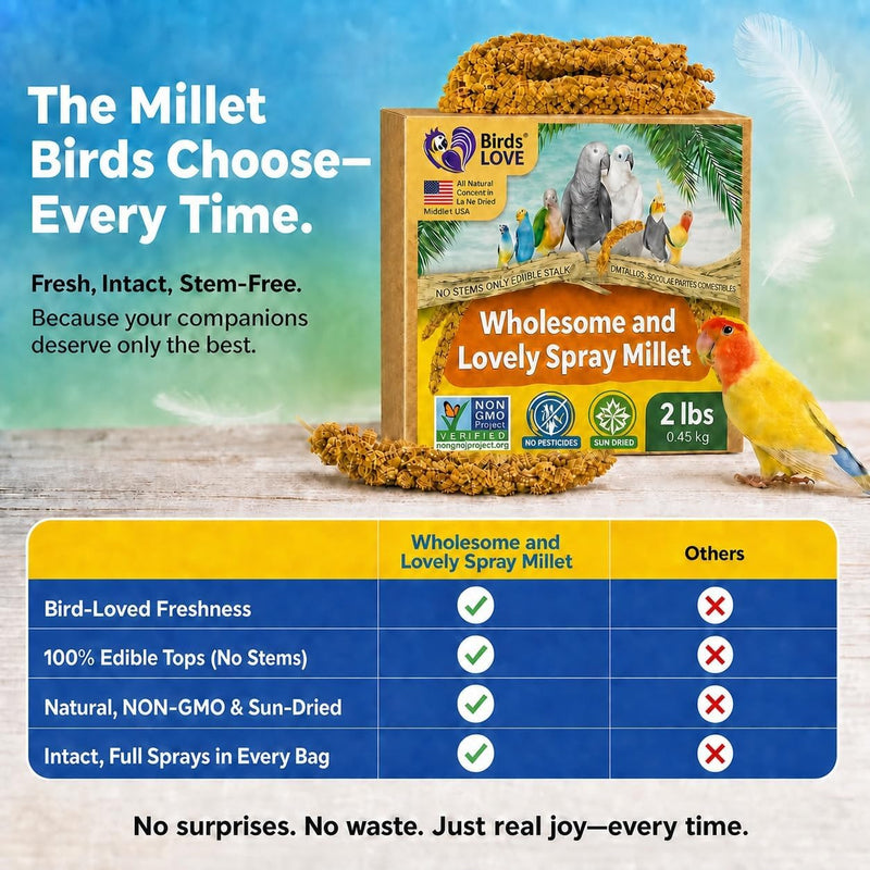 Birds LOVE 2 LB Wholesome Spray Millet for Birds - USA Grown, Non-GMO, Natural Sun-Dried Millet Sprays - Thick Seed-Rich Clusters for Parakeets, Budgies, Cockatiels, Conures, Finches & Parrots