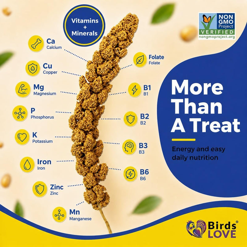 1lb Economy & Special Spray Millet for Birds - GMO-Free, No Stems (Only Edible Tops) - 100% Natural Sun-Dried Foraging Treat for Cockatiels, Lovebirds, Parakeets, Finches & Canaries