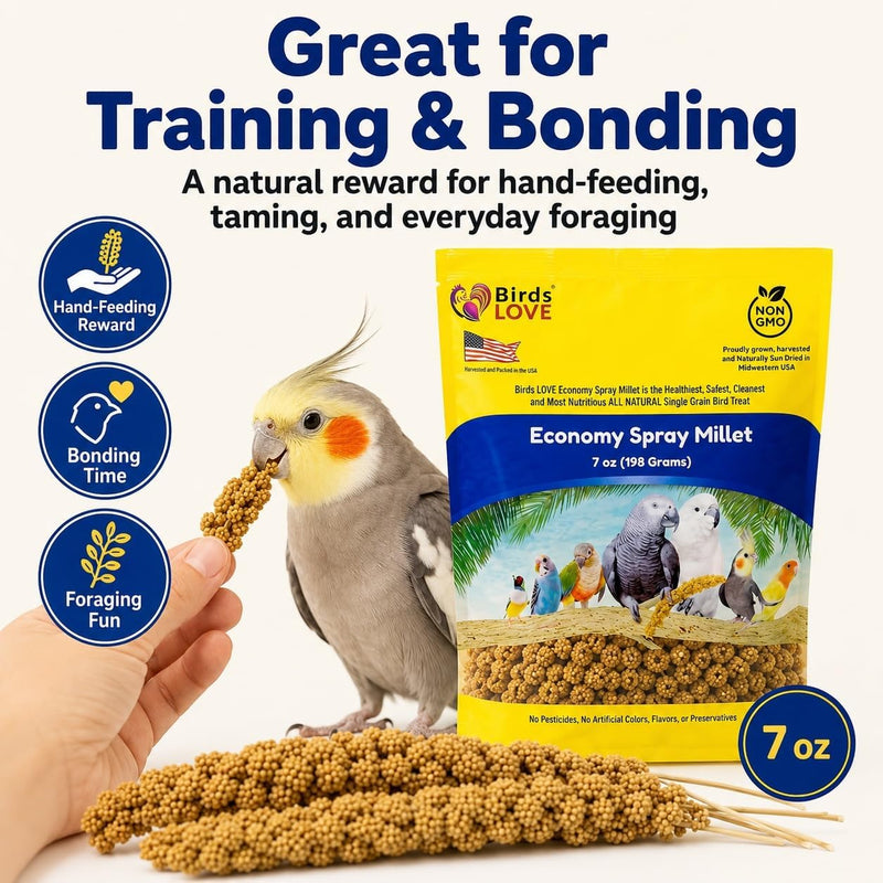 Birds LOVE Economy Spray Millet for Birds, 7 oz, GMO-Free Natural Millet Spray Treat, Stem-Reduced Edible Tops, Grown in USA, for Parakeets, Cockatiels, Lovebirds, Finches, Canaries - Pack of 2