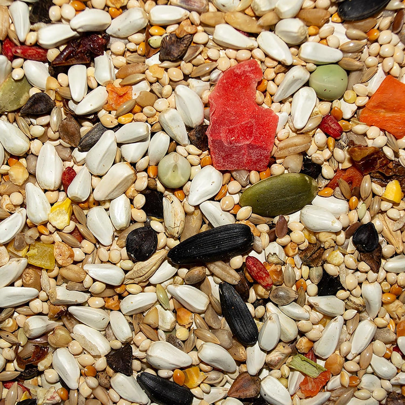 Volkman Avian Science Lovebird & Conure Bird Seed 4 Lb