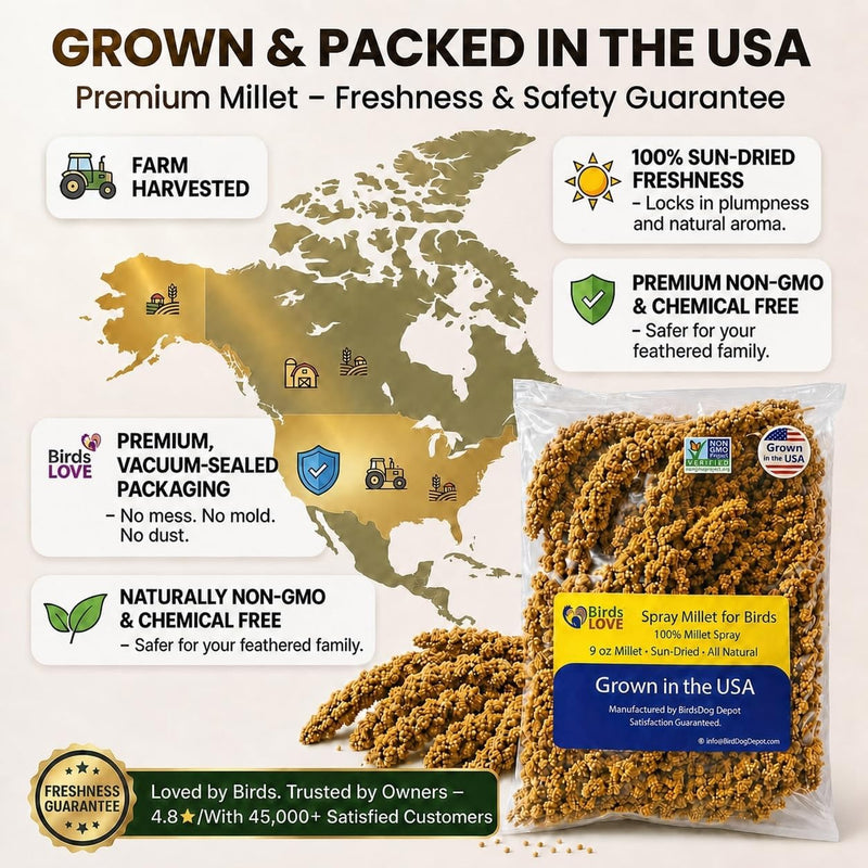9 oz Economy Spray Millet - GMO-Free, No Stems, Natural Sun-Dried