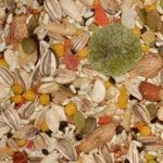 Volkman Avian Science Parrot Bird Food 8lb
