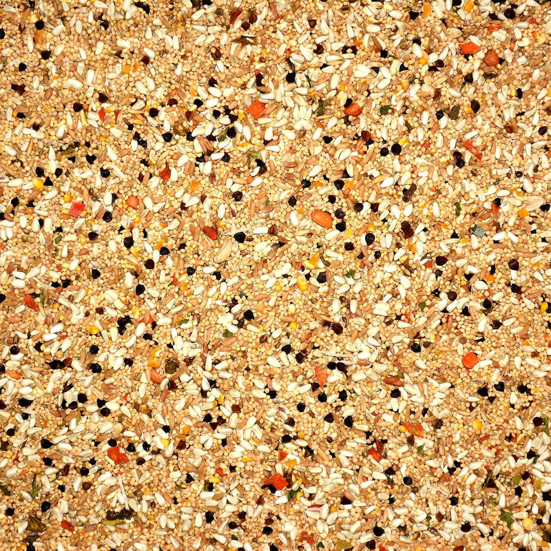 Volkman Avian Science Cockatiel No Sunflower Bird Food 8lb