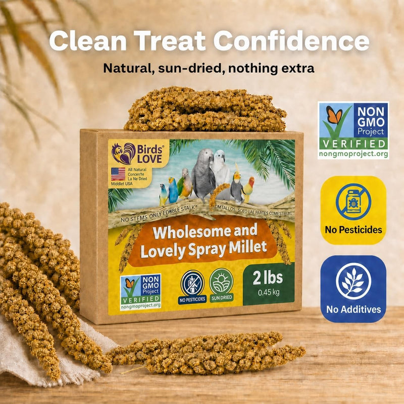 Birds LOVE 2 LB Wholesome Spray Millet for Birds - USA Grown, Non-GMO, Natural Sun-Dried Millet Sprays - Thick Seed-Rich Clusters for Parakeets, Budgies, Cockatiels, Conures, Finches & Parrots