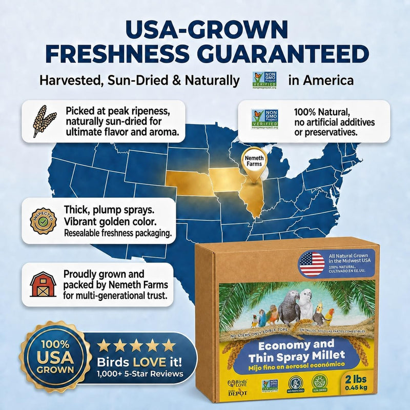 2lbs Economy & Special Spray Millet for Birds - GMO-Free, No Stems (Only Edible Tops) - 100% Natural Sun-Dried Foraging Treat for Cockatiels, Lovebirds, Parakeets, Finches & Canaries