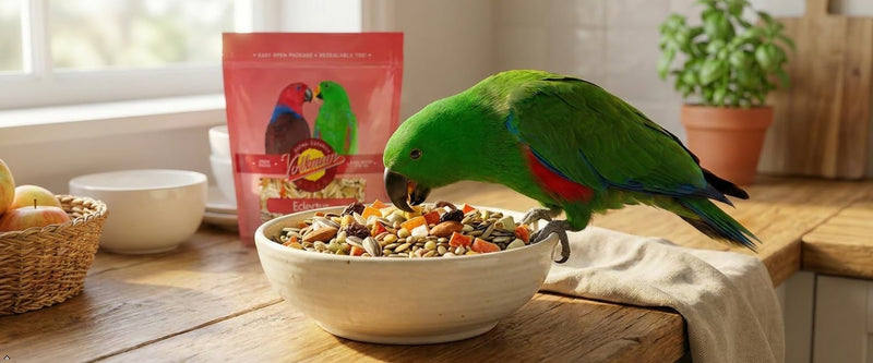 Volkman Avian Science Eclectus Bird Food 4lb
