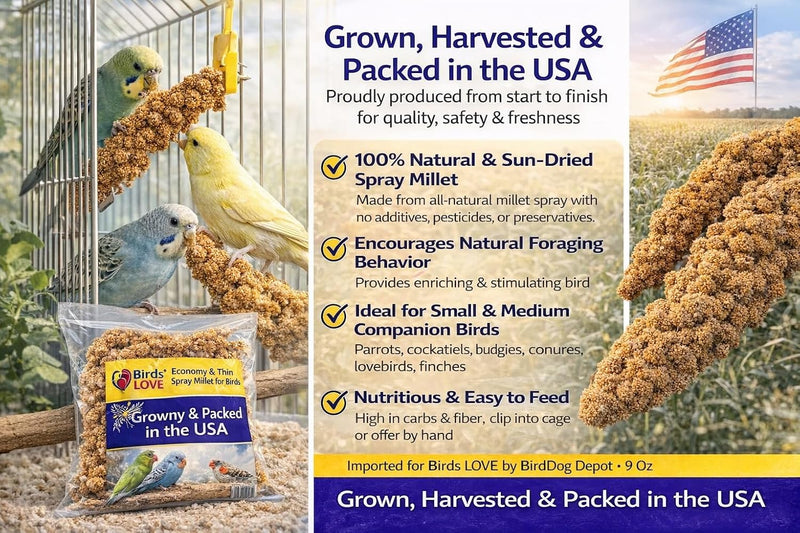 Farm to Feathers Bird Economy Millet & Cuttlebone Bundle - USA Grown Millet Sprays for Parakeets, Budgies, Cockatiels, Finches & Canaries - 9 oz (Pack of 1) + 4" Cuttlebone (4 Pack)