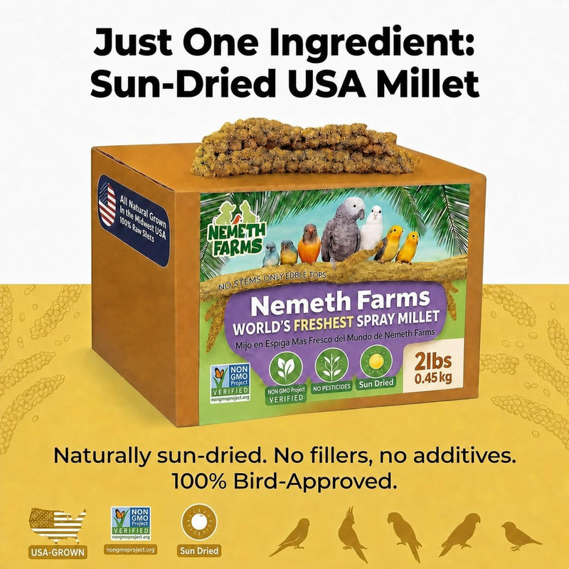 Nemeth Farms Spray Millet - Edible Tops Only, Non-GMO and Sun-Dried - 2 lbs for Cockatiels, Lovebirds and Budgies