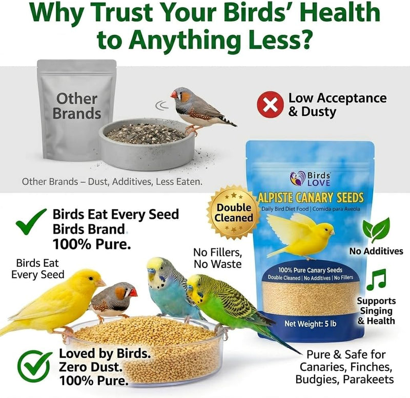 Birds LOVE Pure Alpiste Canary Seed Double Cleaned 5lb