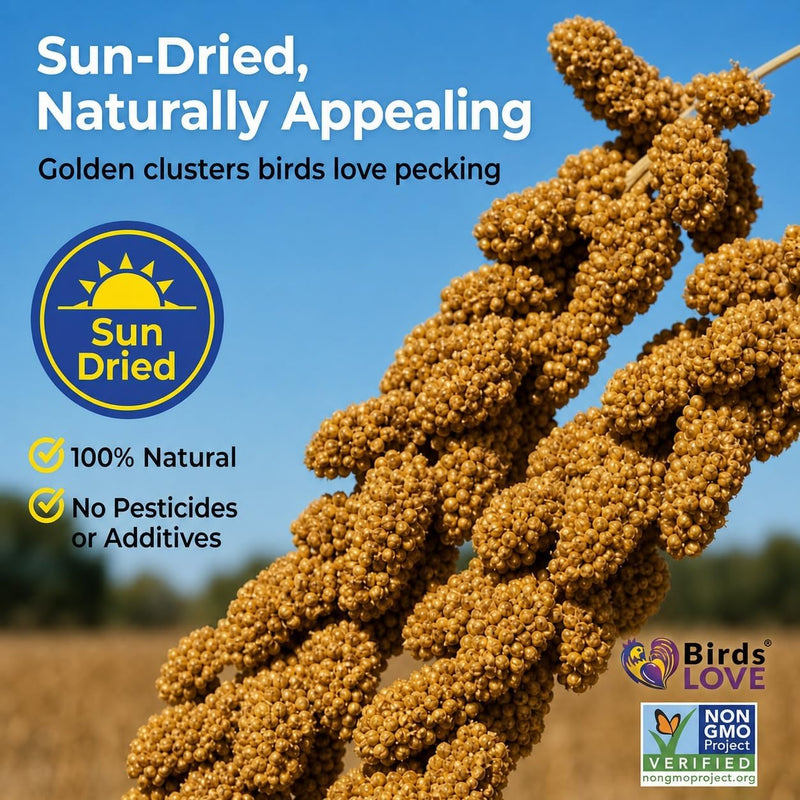 1lb Economy & Special Spray Millet for Birds - GMO-Free, No Stems (Only Edible Tops) - 100% Natural Sun-Dried Foraging Treat for Cockatiels, Lovebirds, Parakeets, Finches & Canaries