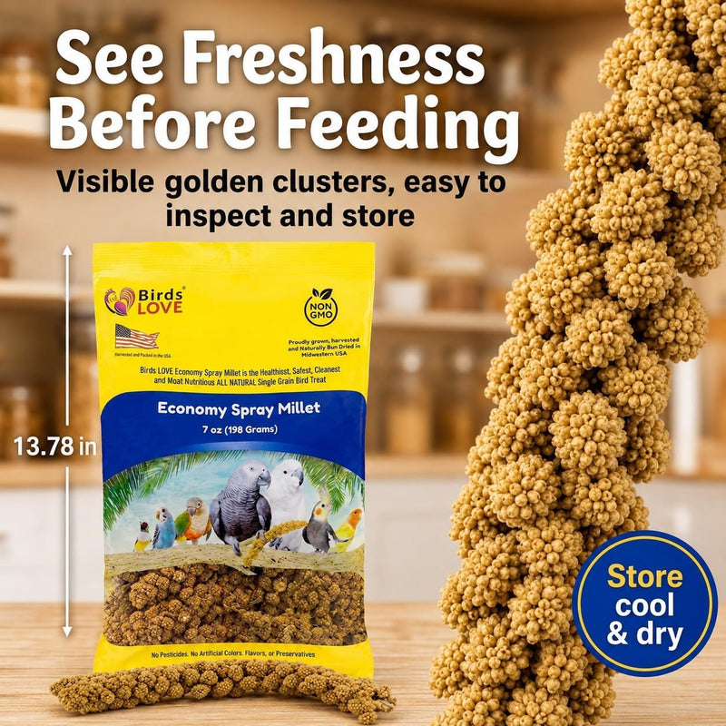 Birds LOVE Economy Spray Millet for Birds, 7 oz, GMO-Free Natural Millet Spray Treat, Stem-Reduced Edible Tops, Grown in USA, for Parakeets, Cockatiels, Lovebirds, Finches, Canaries - Pack of 2