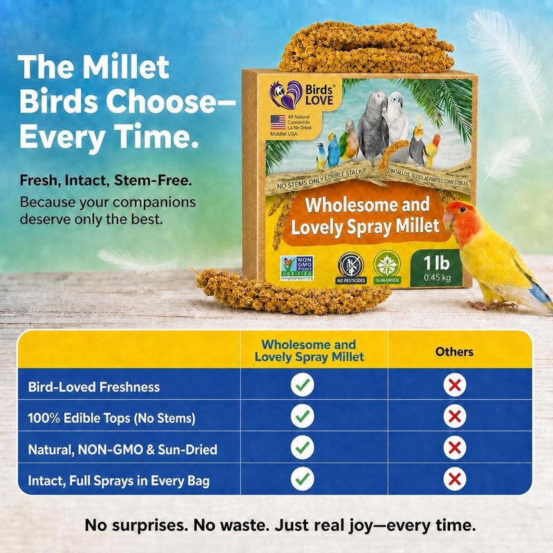 Birds LOVE 1 LB Wholesome Spray Millet for Birds - USA Grown, Non-GMO, Natural Sun-Dried Millet Sprays - Thick Seed-Rich Clusters for Parakeets, Budgies, Cockatiels, Conures, Finches & Parrots