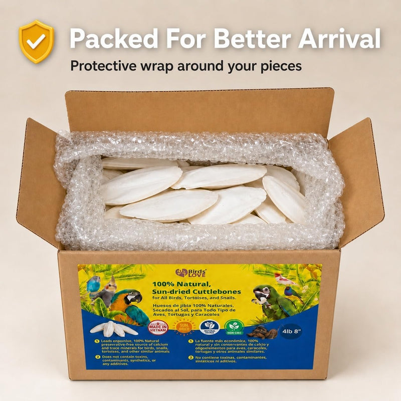 Birds LOVE Natural Cuttlebone - 4 lb bulk, 7.5-8"