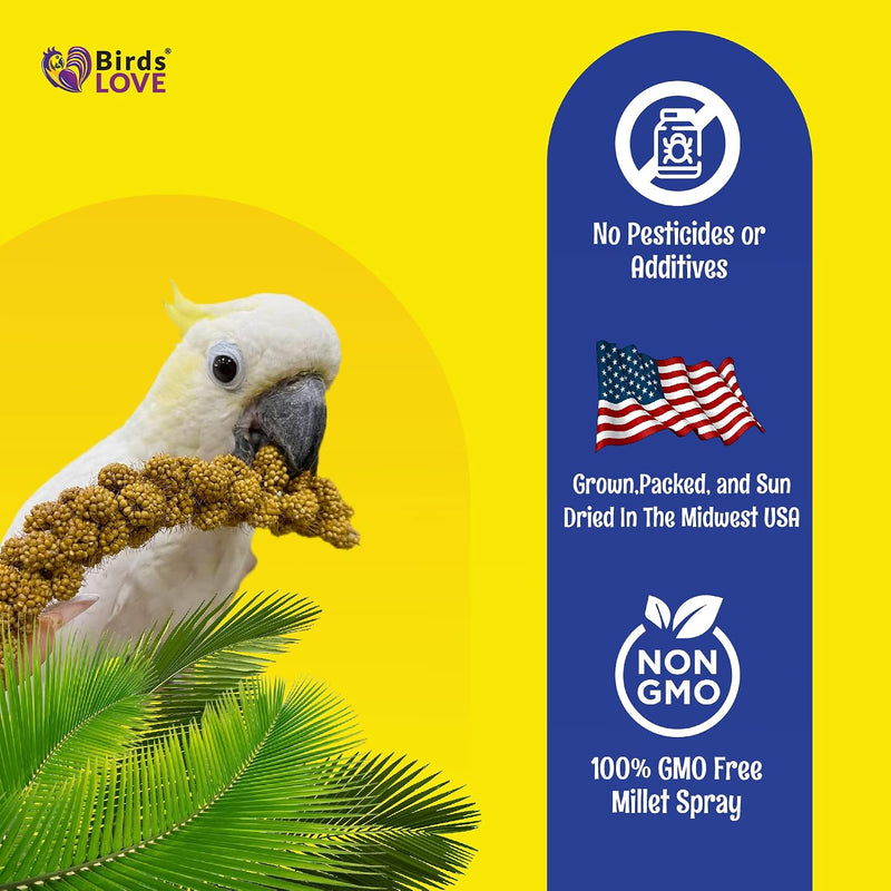 25lbs Economy & Special Spray Millet for Birds - GMO-Free, No Stems (Only Edible Tops) - 100% Natural Sun-Dried Foraging Treat for Cockatiels, Lovebirds, Parakeets, Finches & Canaries