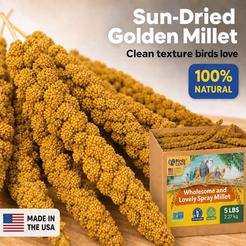 Birds LOVE 5 LB Wholesome Spray Millet for Birds - USA Grown, Non-GMO, Natural Sun-Dried Millet Sprays - Thick Seed-Rich Clusters for Parakeets, Budgies, Cockatiels, Conures, Finches & Parrots