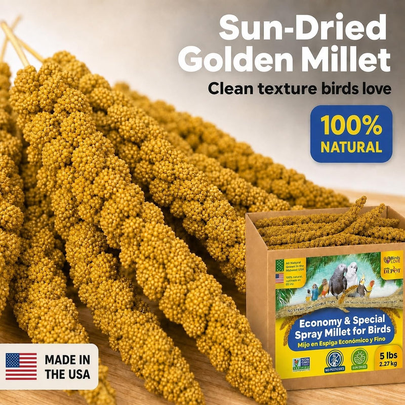 5lbs Economy & Special Spray Millet for Birds - GMO-Free, No Stems (Only Edible Tops) - 100% Natural Sun-Dried Foraging Treat for Cockatiels, Lovebirds, Parakeets, Finches & Canaries