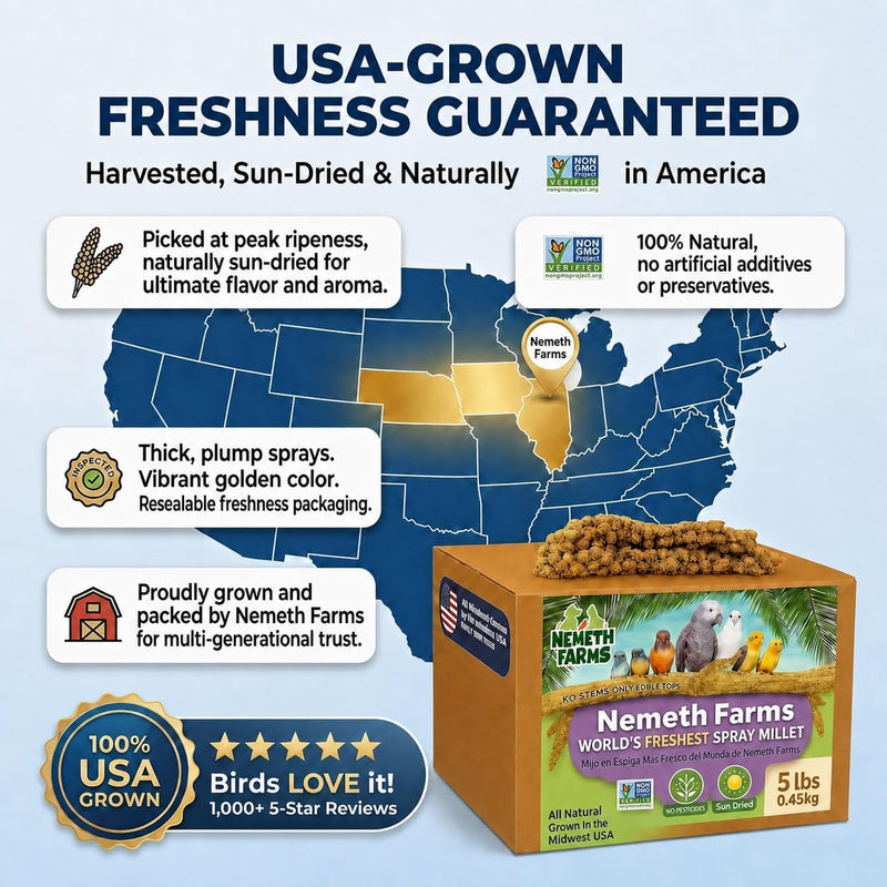 Nemeth Farms Spray Millet - Edible Tops Only, Non-GMO and Sun-Dried - 5 lbs for Parakeets, Conures and Cockatiels