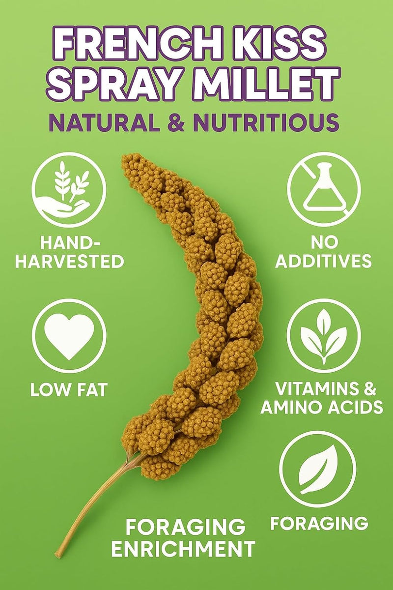 Birds LOVE 25lbs French Kissed Spray Millet for Birds - Non-GMO, Harvested & Packed in the USA - Natural Sun-Dried Millet with Stems for Parakeets, Cockatiels, Conures, Parrots & Budgies