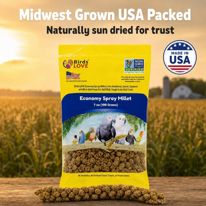 Birds LOVE Economy Spray Millet for Birds, 7 oz, GMO-Free Natural Millet Spray Treat, Stem-Reduced Edible Tops, Grown in USA, for Parakeets, Cockatiels, Lovebirds, Finches, Canaries & Small Parrots