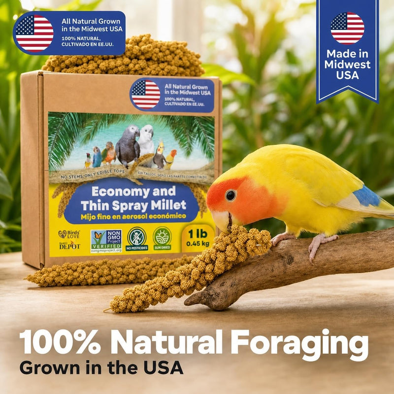 1lb Economy & Special Spray Millet for Birds - GMO-Free, No Stems (Only Edible Tops) - 100% Natural Sun-Dried Foraging Treat for Cockatiels, Lovebirds, Parakeets, Finches & Canaries