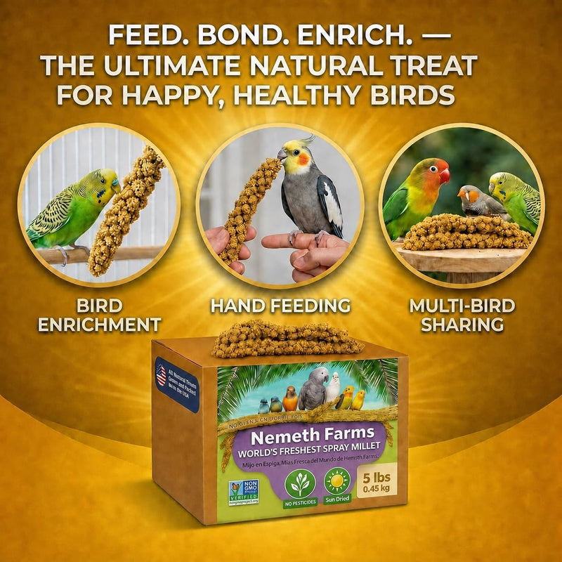 Nemeth Farms Spray Millet - Edible Tops Only, Non-GMO and Sun-Dried - 5 lbs for Parakeets, Conures and Cockatiels