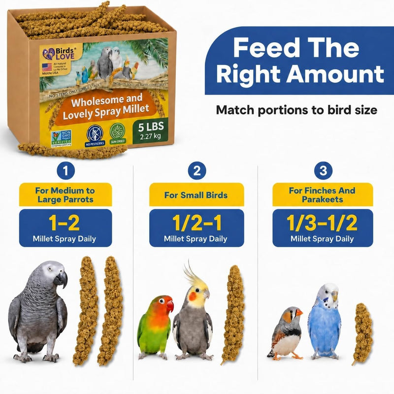 Birds LOVE 5 LB Wholesome Spray Millet for Birds - USA Grown, Non-GMO, Natural Sun-Dried Millet Sprays - Thick Seed-Rich Clusters for Parakeets, Budgies, Cockatiels, Conures, Finches & Parrots