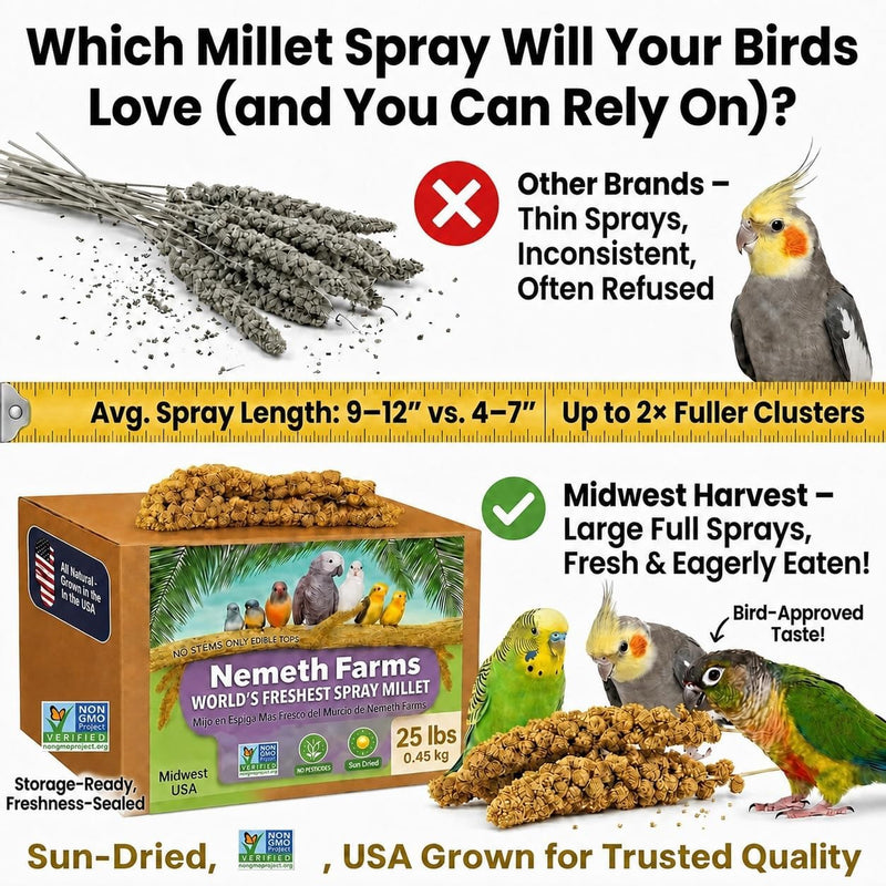 Nemeth Farms Spray Millet for Birds - Natural Non-GMO Millet Treat for Parakeets, Cockatiels & Parrots - 25 lb