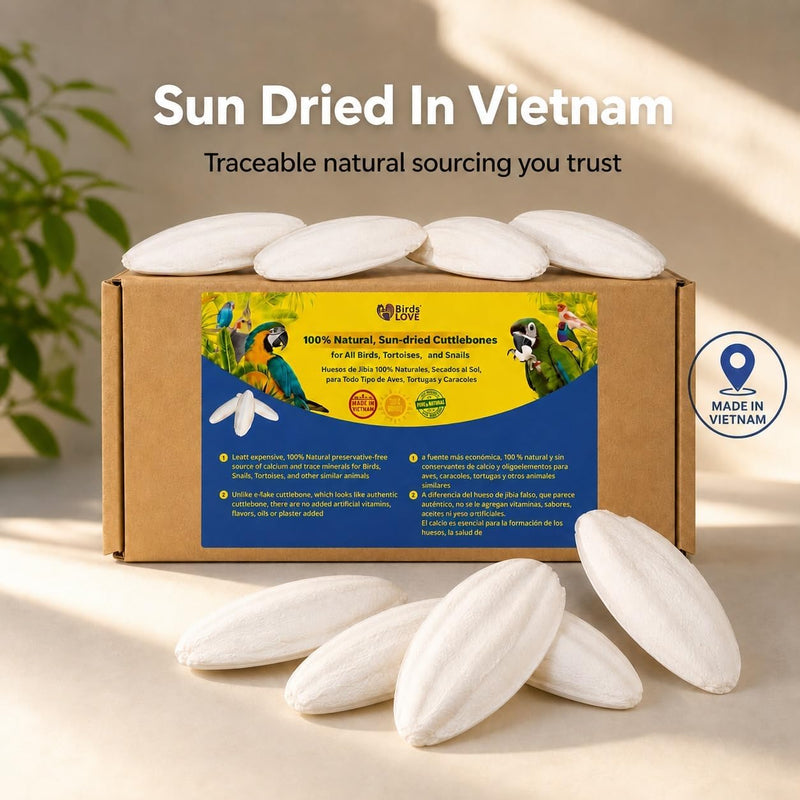 Birds LOVE Natural Cuttlebone - 6 Pack, 7.5-8"