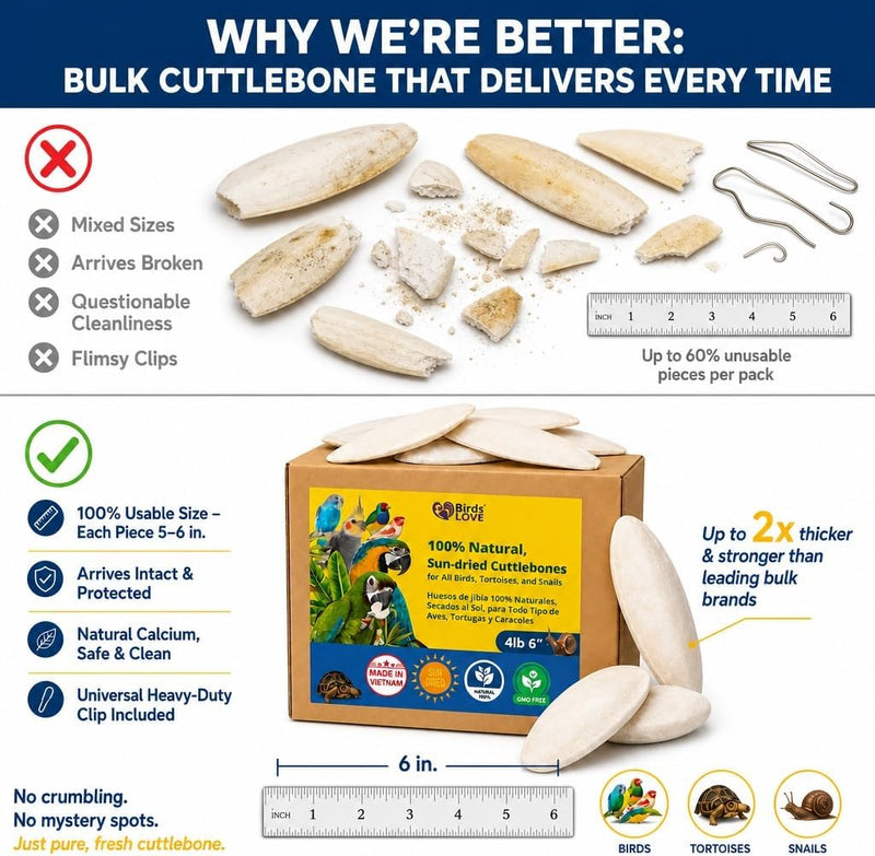 Birds LOVE Natural Cuttlebone - 4 lb bulk, 5.5-6"