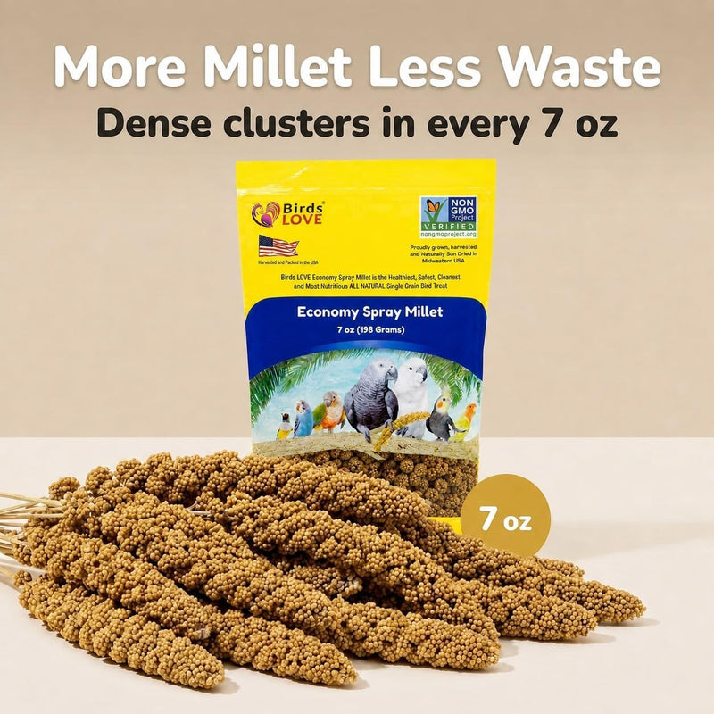 Birds LOVE Economy Spray Millet for Birds, 7 oz, GMO-Free Natural Millet Spray Treat, Stem-Reduced Edible Tops, Grown in USA, for Parakeets, Cockatiels, Lovebirds, Finches, Canaries & Small Parrots
